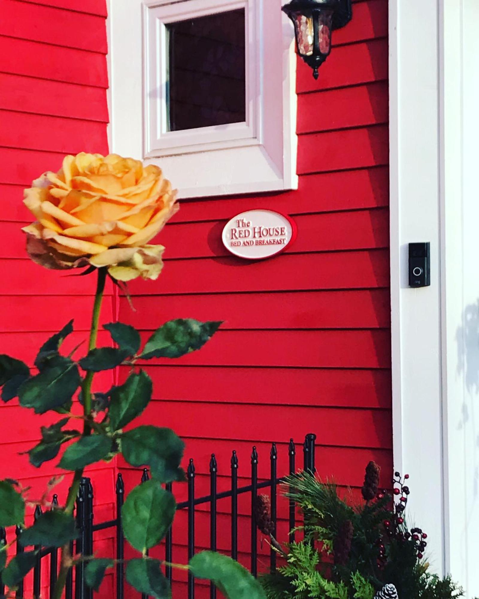 The Red House Fredericton Bed & Breakfast Luaran gambar